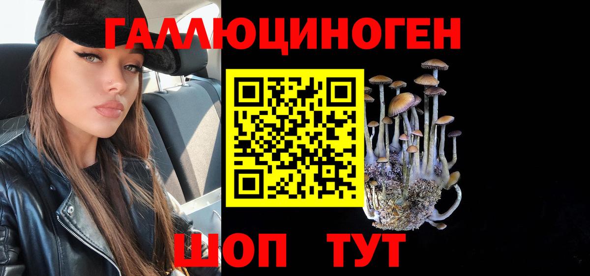 Псилоцибиновые грибы мицелий Вичуга