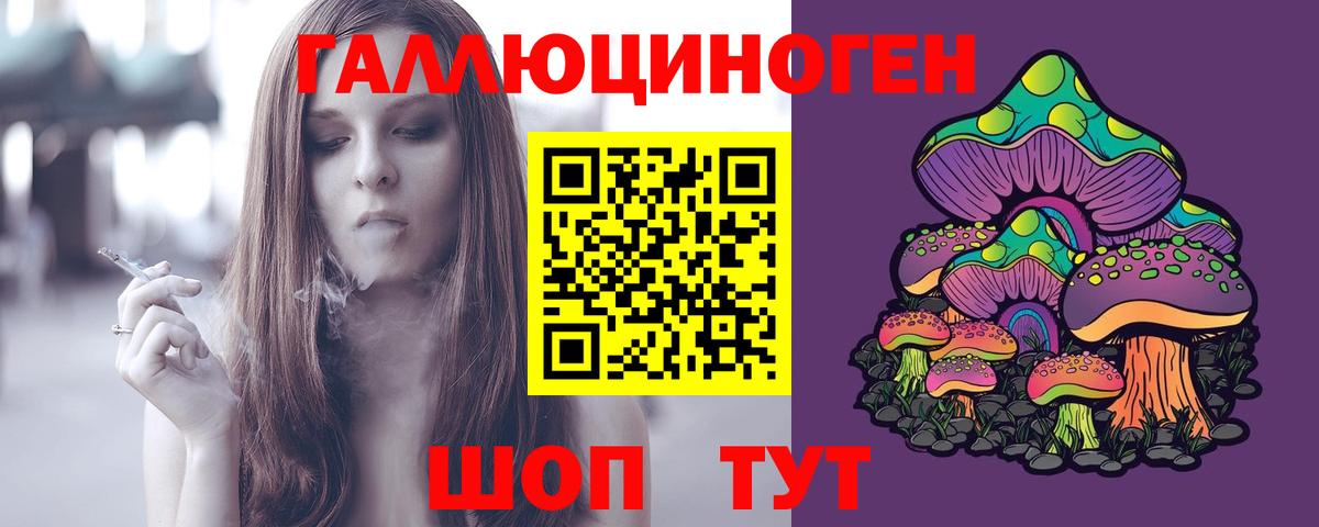 Псилоцибиновые грибы прущие грибы  Вход с VPN  Вичуга 